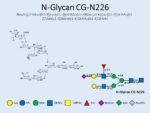 N-glycan-CG-N226