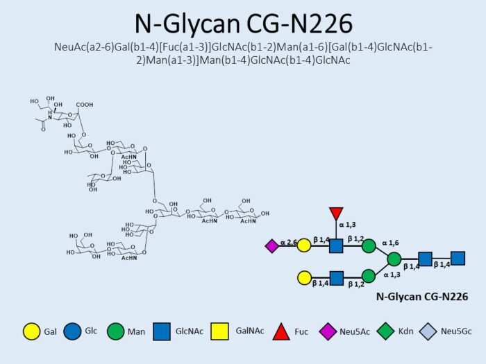 n-glycan-cg-n226