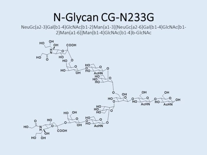 n-glycan-cg-n233g-1