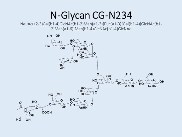 n-glycan-cg-n234-1