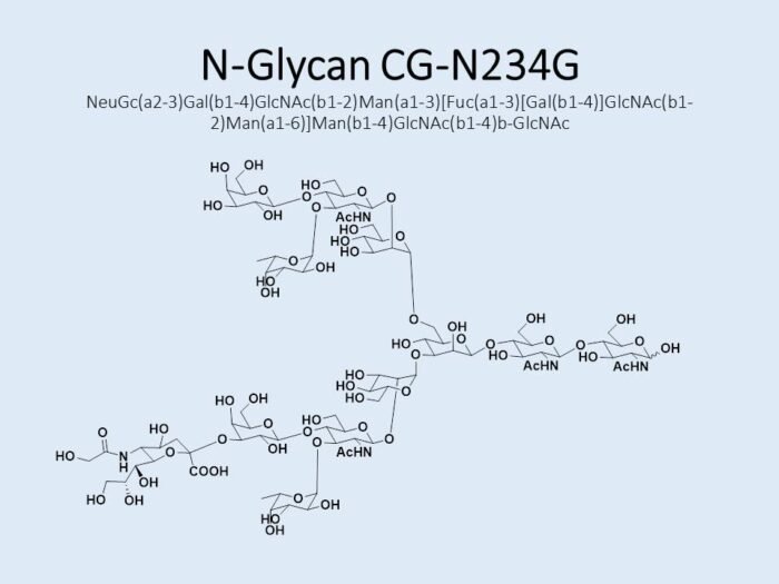 n-glycan-cg-n234g-1