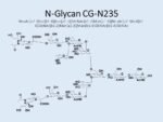 N-glycan-CG-N235