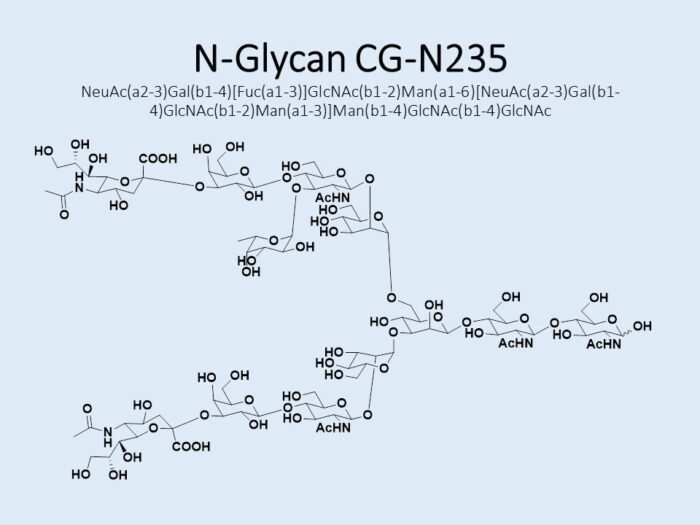 n-glycan-cg-n235-1