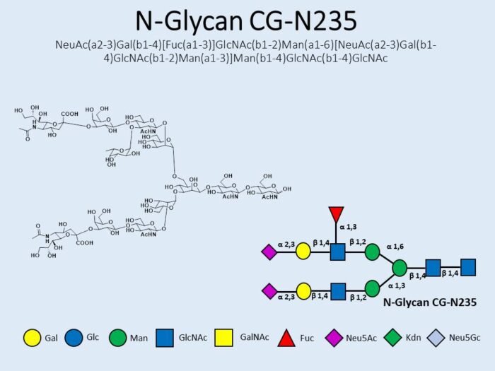 n-glycan-cg-n235