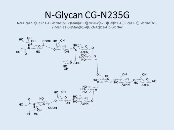 n-glycan-cg-n235g-1