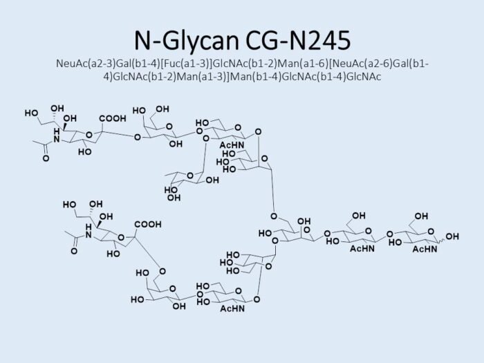 n-glycan-cg-n245-1