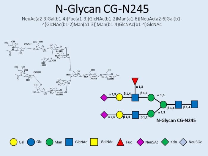 n-glycan-cg-n245