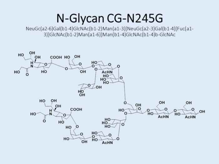 n-glycan-cg-n245g-1