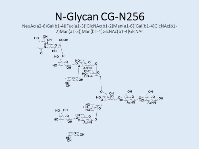 n-glycan-cg-n256-1