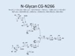 N-glycan-CG-N266