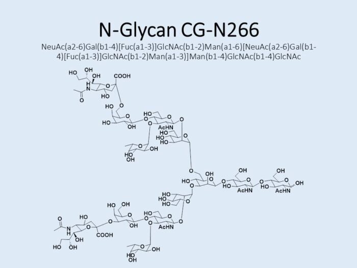 n-glycan-cg-n266-1