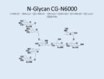 N-glycan-CG-N6000