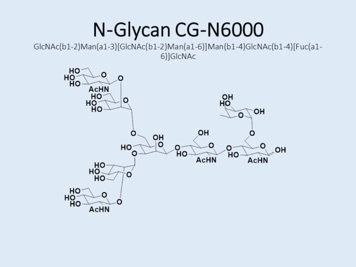 n-glycan-cg-n6000-1