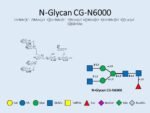 N-glycan-CG-N6000