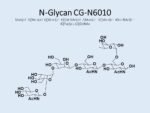 N-glycan-CG-N6010