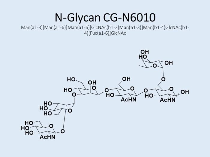 n-glycan-cg-n6010-1