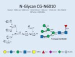 N-glycan-CG-N6010