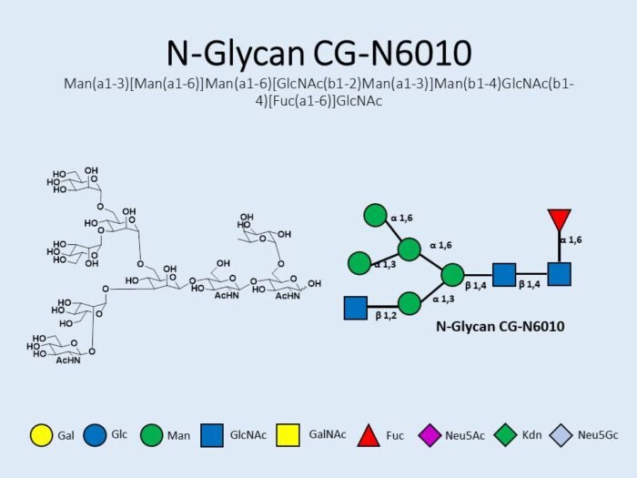 n-glycan-cg-n6010