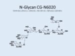 N-glycan-CG-N6020