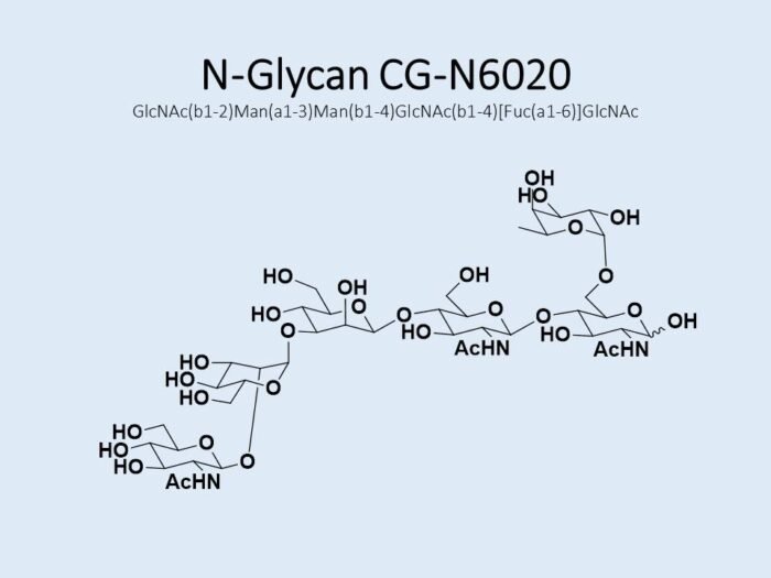 n-glycan-cg-n6020-1