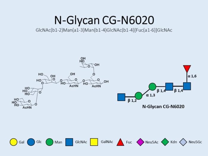 n-glycan-cg-n6020