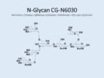 N-glycan-CG-N6030