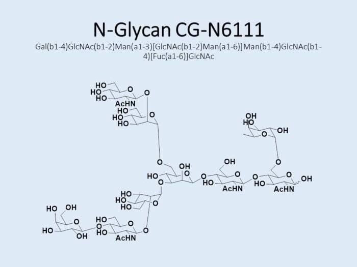 n-glycan-cg-n6111-1