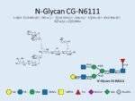 N-glycan-CG-N6111