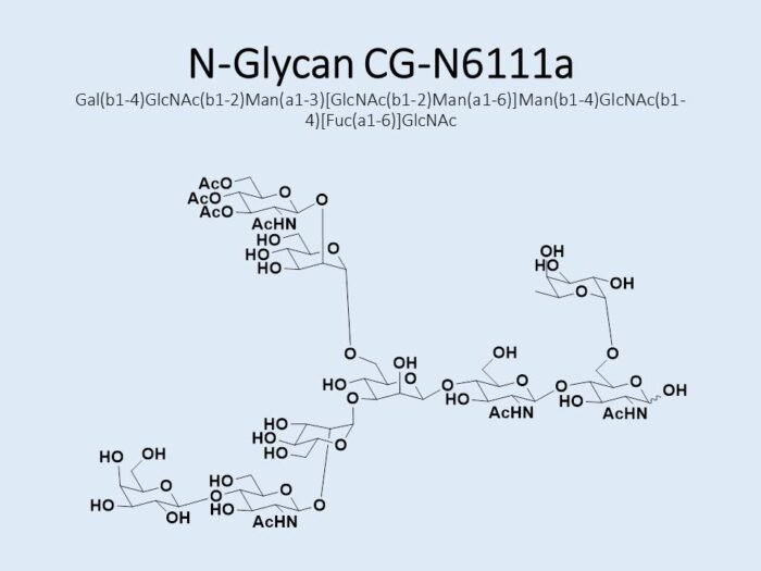 n-glycan-cg-n6111a-1