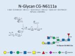 N-glycan-CG-N6111a