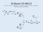 N-glycan-CG-N6112