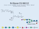 N-glycan-CG-N6112