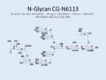 N-glycan-CG-N6113