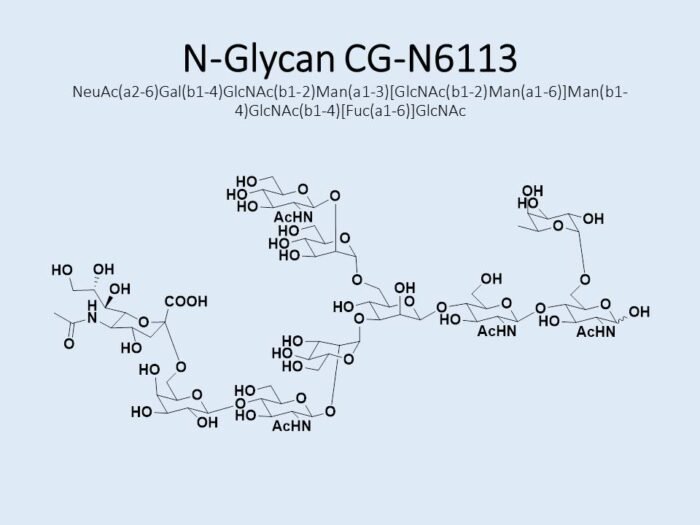 n-glycan-cg-n6113-1