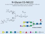 N-glycan-CG-N6122