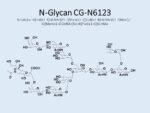 N-glycan-CG-N6123