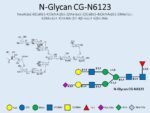 N-glycan-CG-N6123