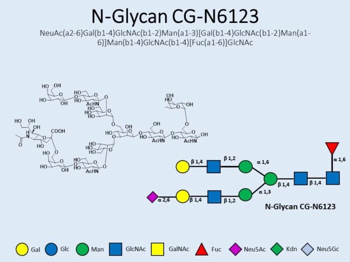 n-glycan-cg-n6123