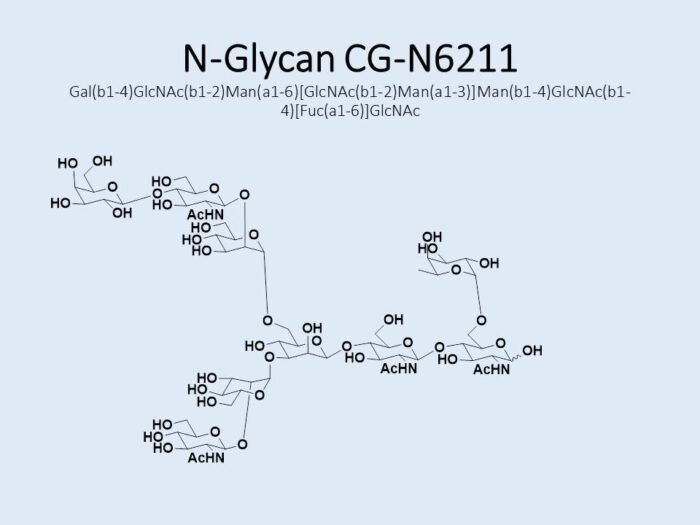 n-glycan-cg-n6211-1