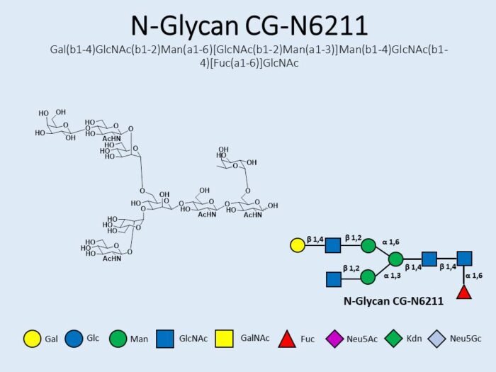 n-glycan-cg-n6211