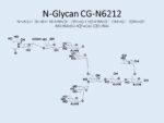 N-glycan-CG-N6212