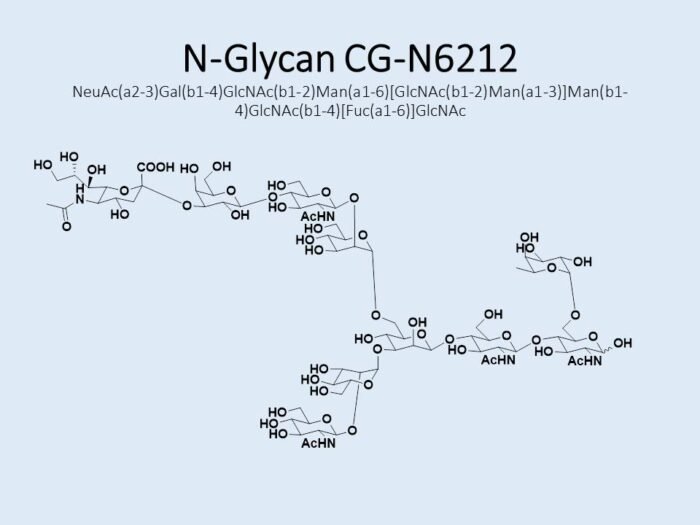 n-glycan-cg-n6212-1