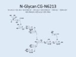 N-glycan-CG-N6213