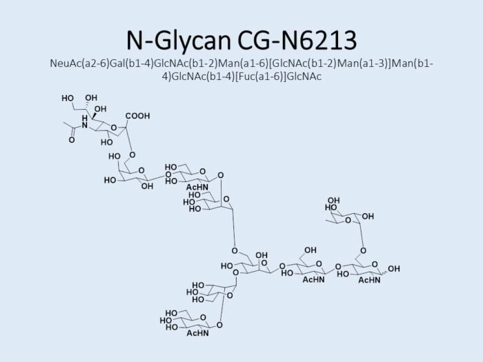 n-glycan-cg-n6213-1