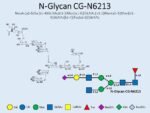 N-glycan-CG-N6213