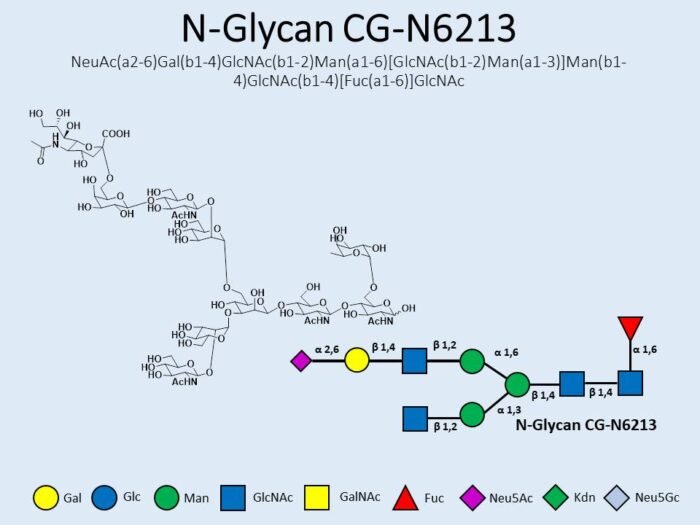 n-glycan-cg-n6213