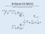 N-glycan-CG-N6222