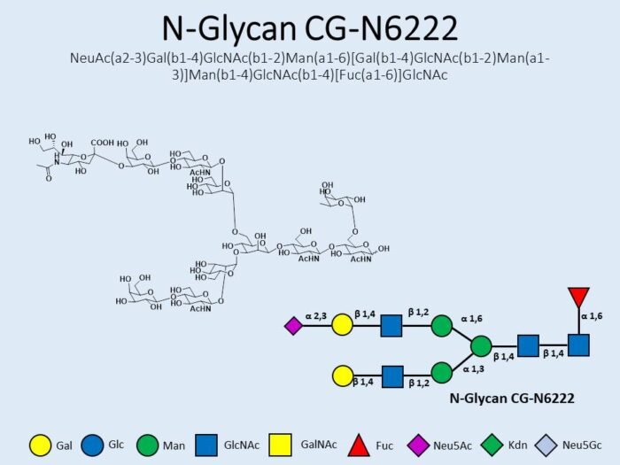 n-glycan-cg-n6222