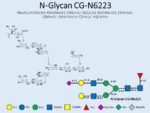 N-glycan-CG-N6223