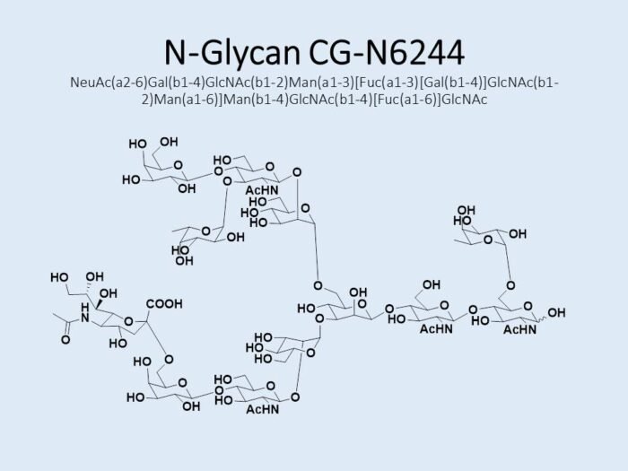 n-glycan-cg-n6244-1